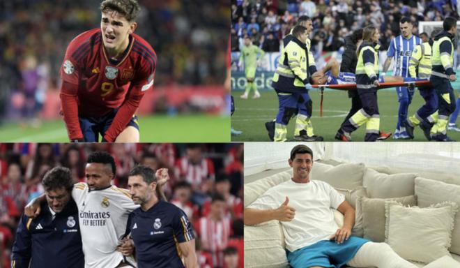 杂性与多样 杂性与多样