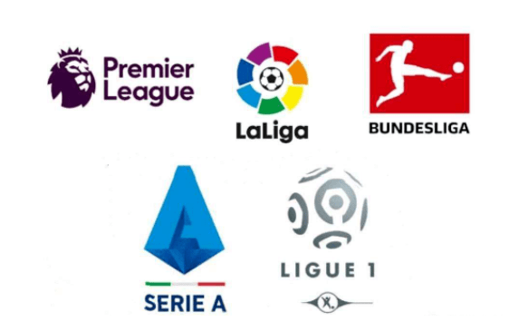 队在本赛季 队在本赛季